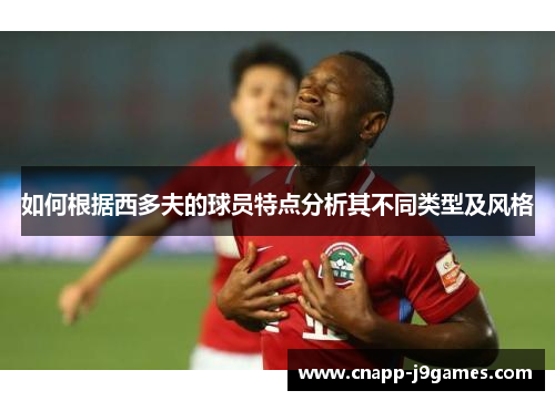 如何根据西多夫的球员特点分析其不同类型及风格